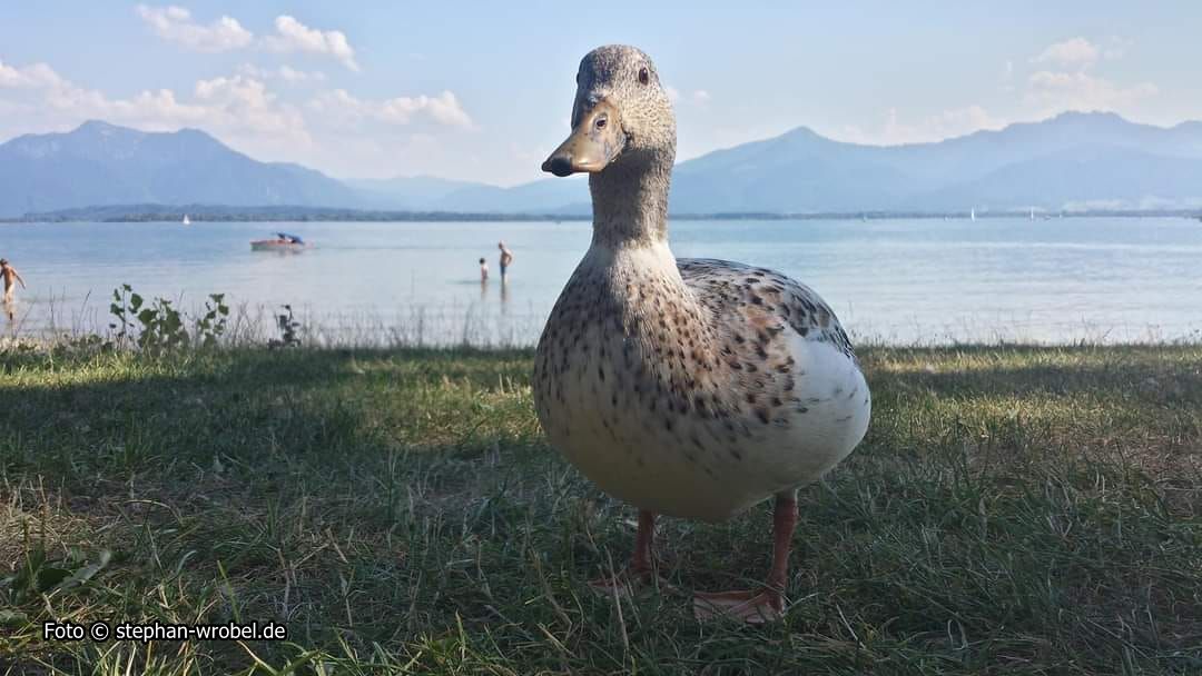 Beispielfoto: Kategorie "Foto Augen-BLiCKE", hier: Fraueninsel, Chiemsee